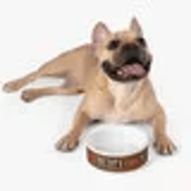 Savage Love Pet Feeding Bowl