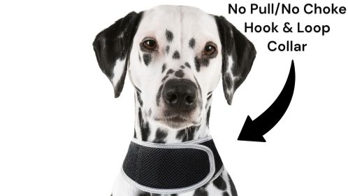 Find Pet Easily with Pet Tracker Mini GPS Collar for Dogs Tracking Device Size:L