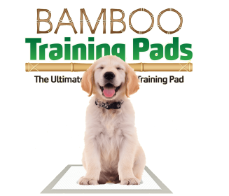 Bamboo Training Pads (size: 50 count - 5 SAP)