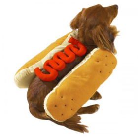 Casual Canine Hot Diggity Dog Costume (Color: Mustard, size: large)