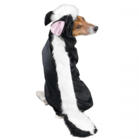 CC Lil' Stinker Costume (size: XXL)