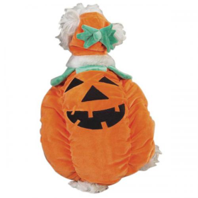 Zack & Zoey Pumpkin Pooch Costume (Color: Orange, size: small)