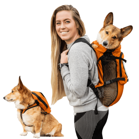 Walk-On with Harness & Storage (Color: Sunset Orange, size: Large (17-19" Neck 17-24" Chest))